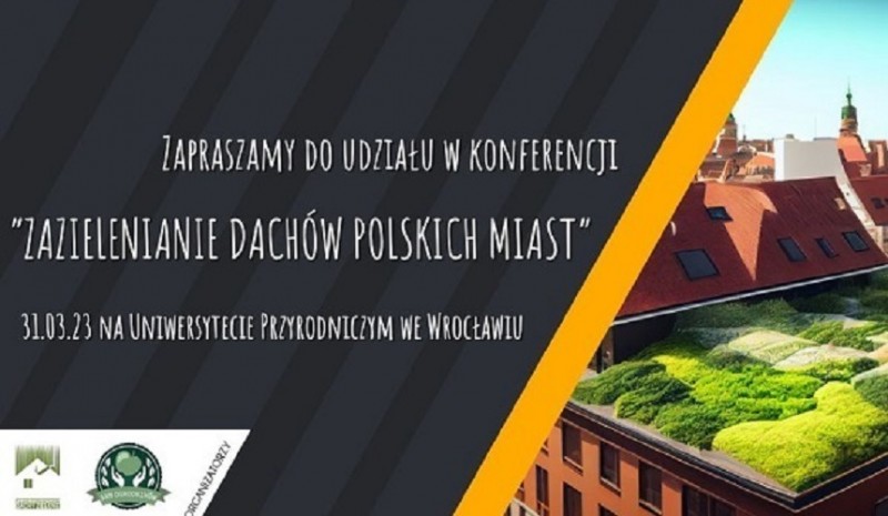 Zazielenianie dachów polskich miast. - zielone dachy sedum